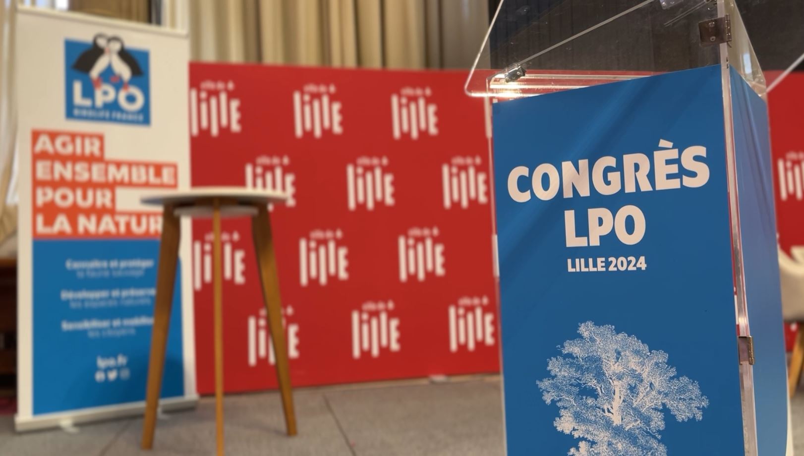 Lille aux oiseaux